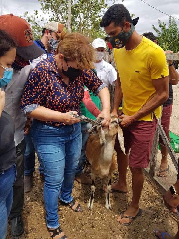 AGRICULTURA URBANA EM FORTALEZA - Veja a imagem sobre essa notícia de agricultura urbana em Fortaleza