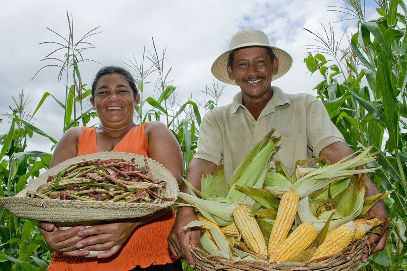 MDA amplia prazo para enquadramento ao novo Cadastro Nacional da Agricultura Familiar