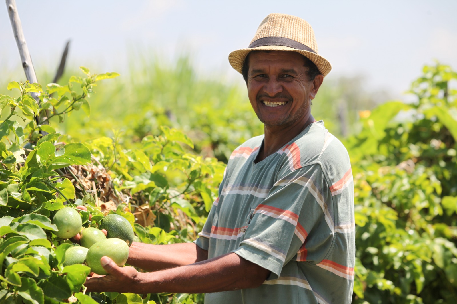 Garantia Safra é pago para mais 22 mil agricultores do Ceará em abril