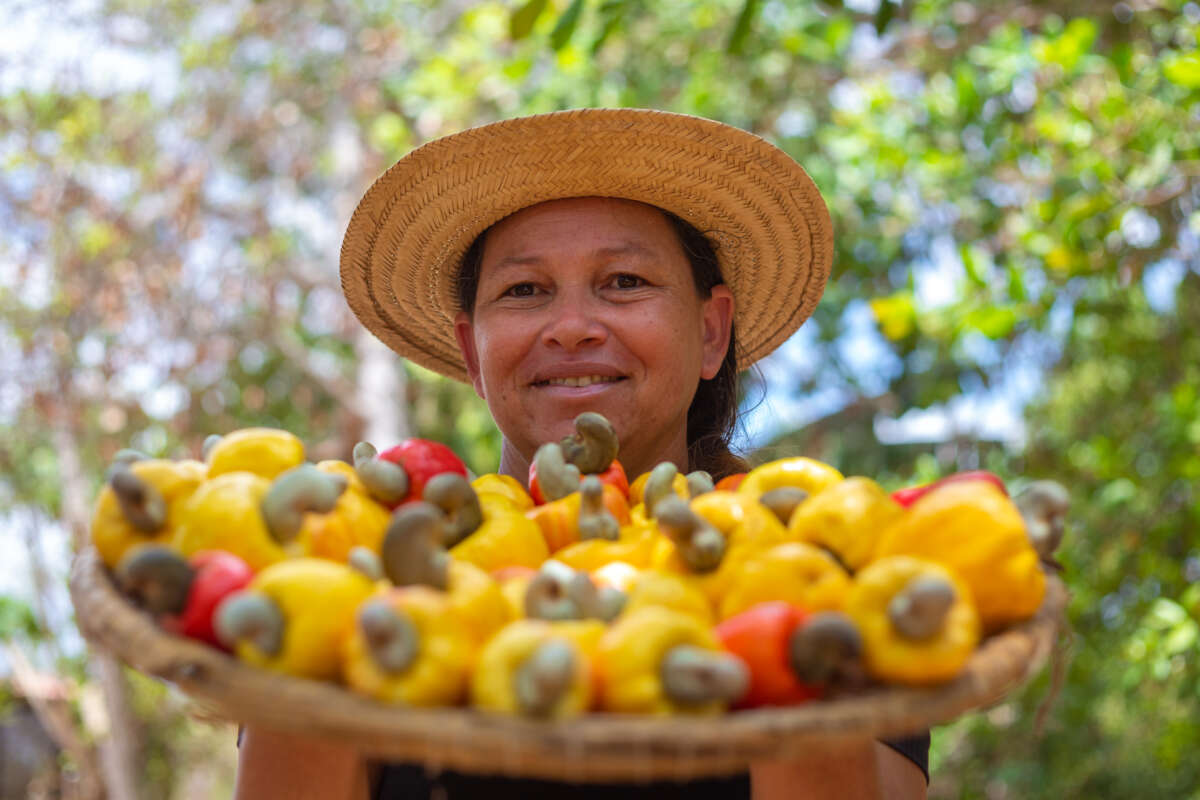 AGRICULTURA URBANA EM FORTALEZA - Veja a imagem sobre essa notícia de agricultura urbana em Fortaleza