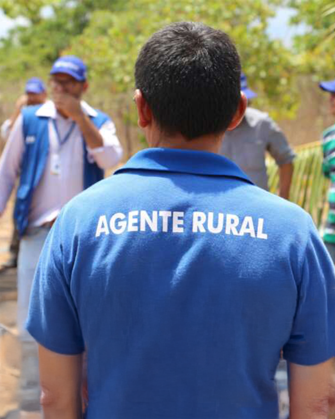SDA lança edital para seleção de bolsistas do Programa Agente Rural