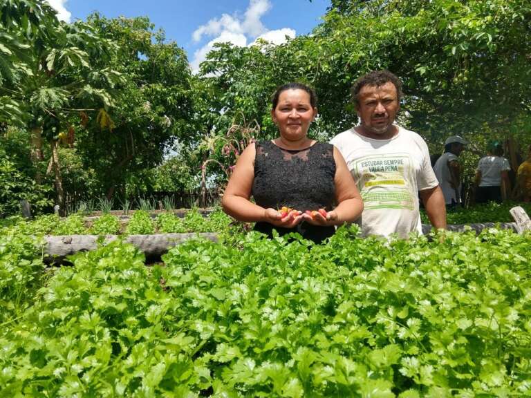 SDA lança edital do Fedaf com R$ 6 milhões em crédito para a agricultura familiar